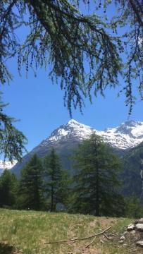 Haus Valaisia - Randa Bei Zermatt Apartment Luaran gambar